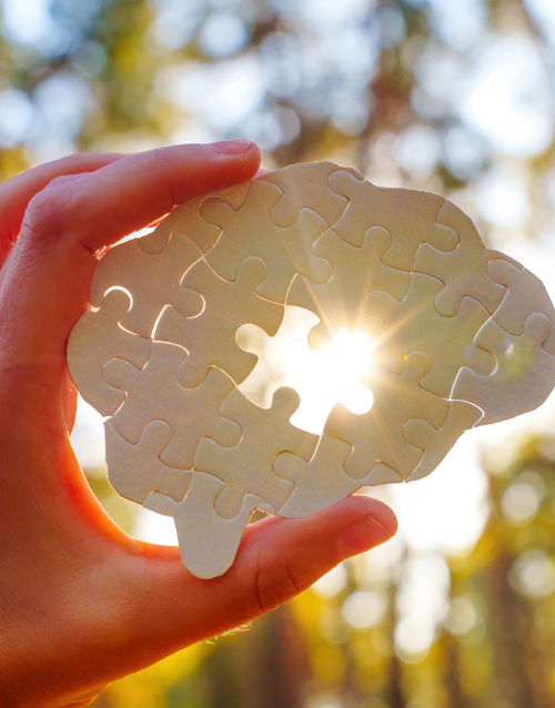 Holding Puzzle Piece Shaped Like Brain With Sunlight Background